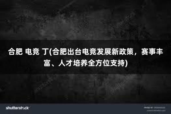 合肥 电竞 丁(合肥出台电竞发展新政策，赛事丰富、人才培养全方位支持)