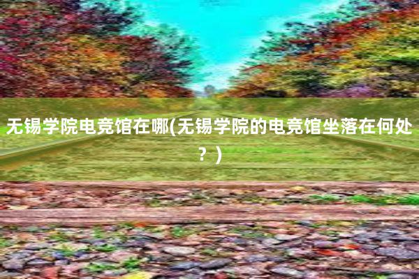 无锡学院电竞馆在哪(无锡学院的电竞馆坐落在何处？)