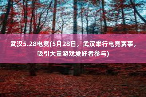 武汉5.28电竞(5月28日，武汉举行电竞赛事，吸引大量游戏爱好者参与)