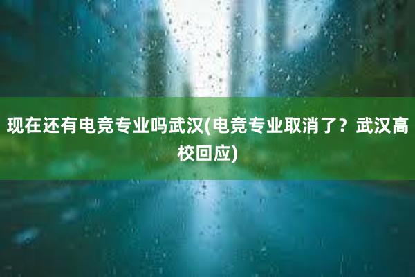 现在还有电竞专业吗武汉(电竞专业取消了？武汉高校回应)