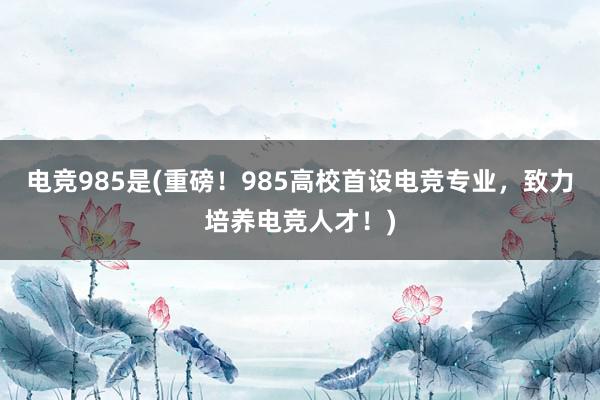 电竞985是(重磅！985高校首设电竞专业，致力培养电竞人才！)