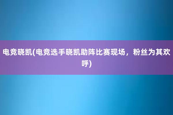 电竞晓凯(电竞选手晓凯助阵比赛现场，粉丝为其欢呼)