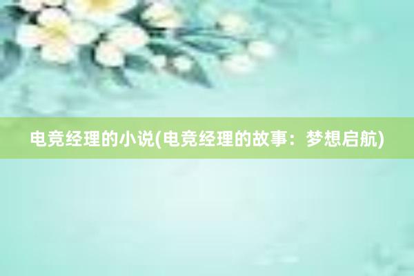 电竞经理的小说(电竞经理的故事：梦想启航)