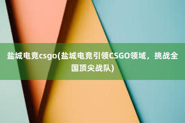 盐城电竞csgo(盐城电竞引领CSGO领域，挑战全国顶尖战队)