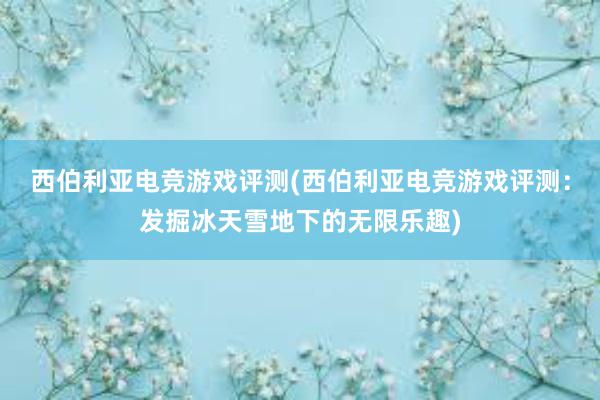 西伯利亚电竞游戏评测(西伯利亚电竞游戏评测：发掘冰天雪地下的无限乐趣)