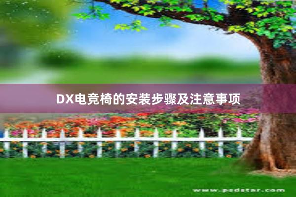 DX电竞椅的安装步骤及注意事项