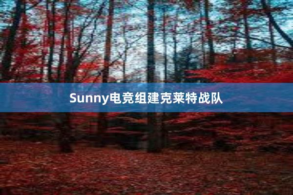 Sunny电竞组建克莱特战队