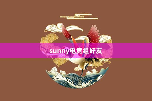 sunny电竞组好友