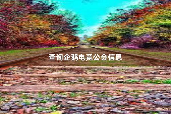 查询企鹅电竞公会信息