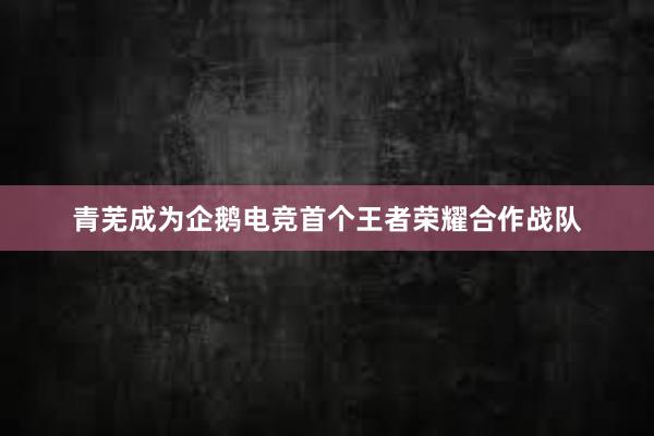 青芜成为企鹅电竞首个王者荣耀合作战队