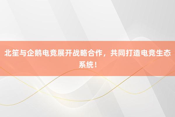 北笙与企鹅电竞展开战略合作，共同打造电竞生态系统！