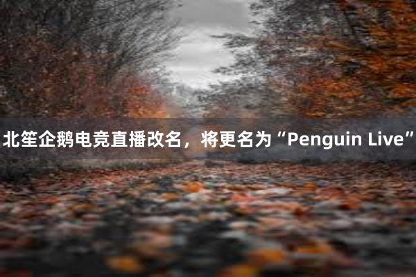 北笙企鹅电竞直播改名，将更名为“Penguin Live”