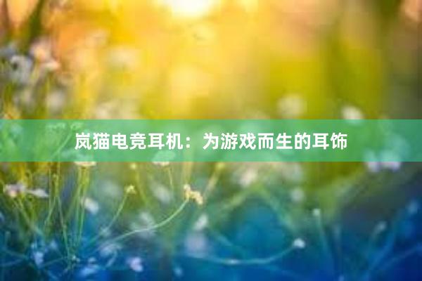 岚猫电竞耳机：为游戏而生的耳饰