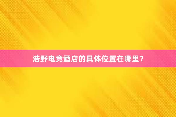 浩野电竞酒店的具体位置在哪里？