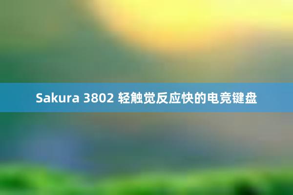 Sakura 3802 轻触觉反应快的电竞键盘