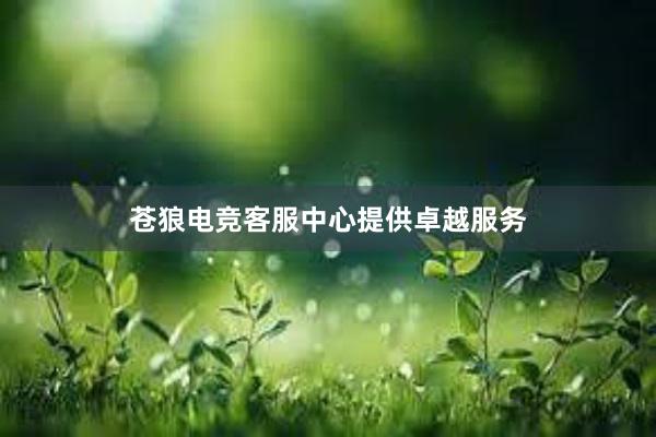 苍狼电竞客服中心提供卓越服务