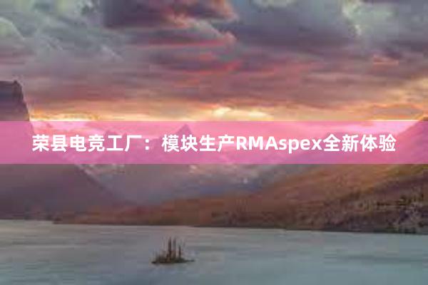 荣县电竞工厂：模块生产RMAspex全新体验