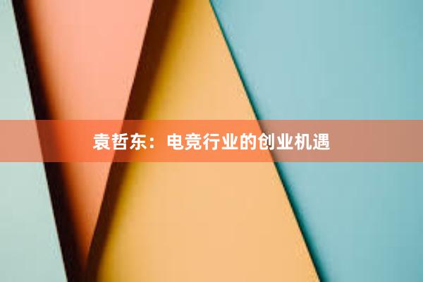 袁哲东：电竞行业的创业机遇