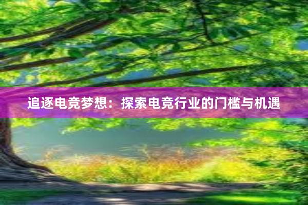 追逐电竞梦想：探索电竞行业的门槛与机遇