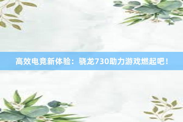 高效电竞新体验：骁龙730助力游戏燃起吧！